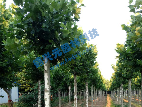 �c���鿴Ԕ����Ϣ���}����ͩ ��x�Δ���2535